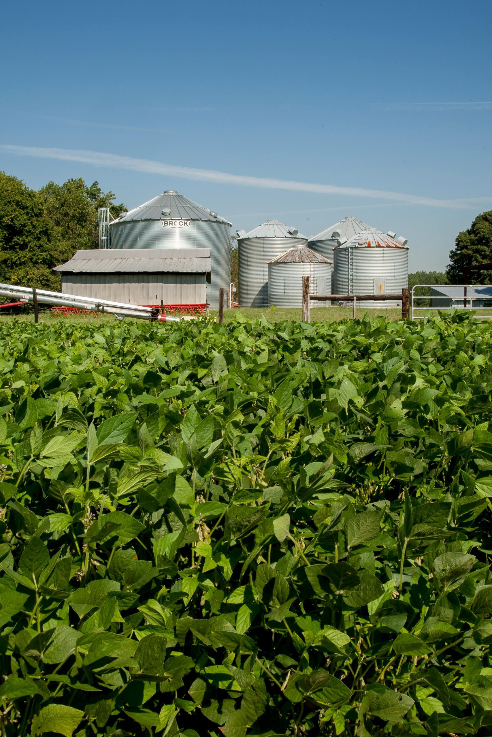 pexels-nc-farm-bureau-mark-2889412 pexels-nc-farm-bureau-mark-2889412