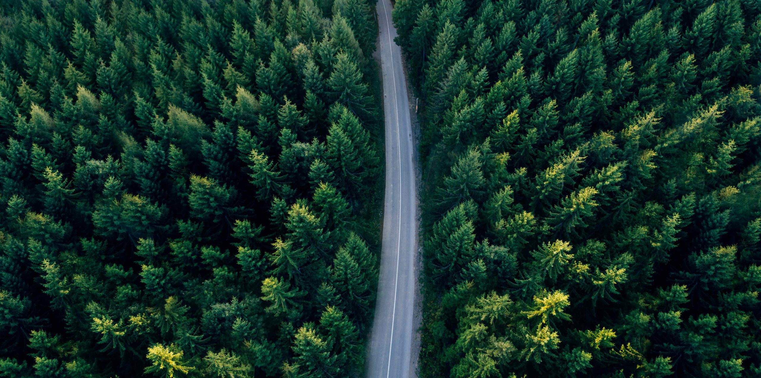 Sustainability report 01 low