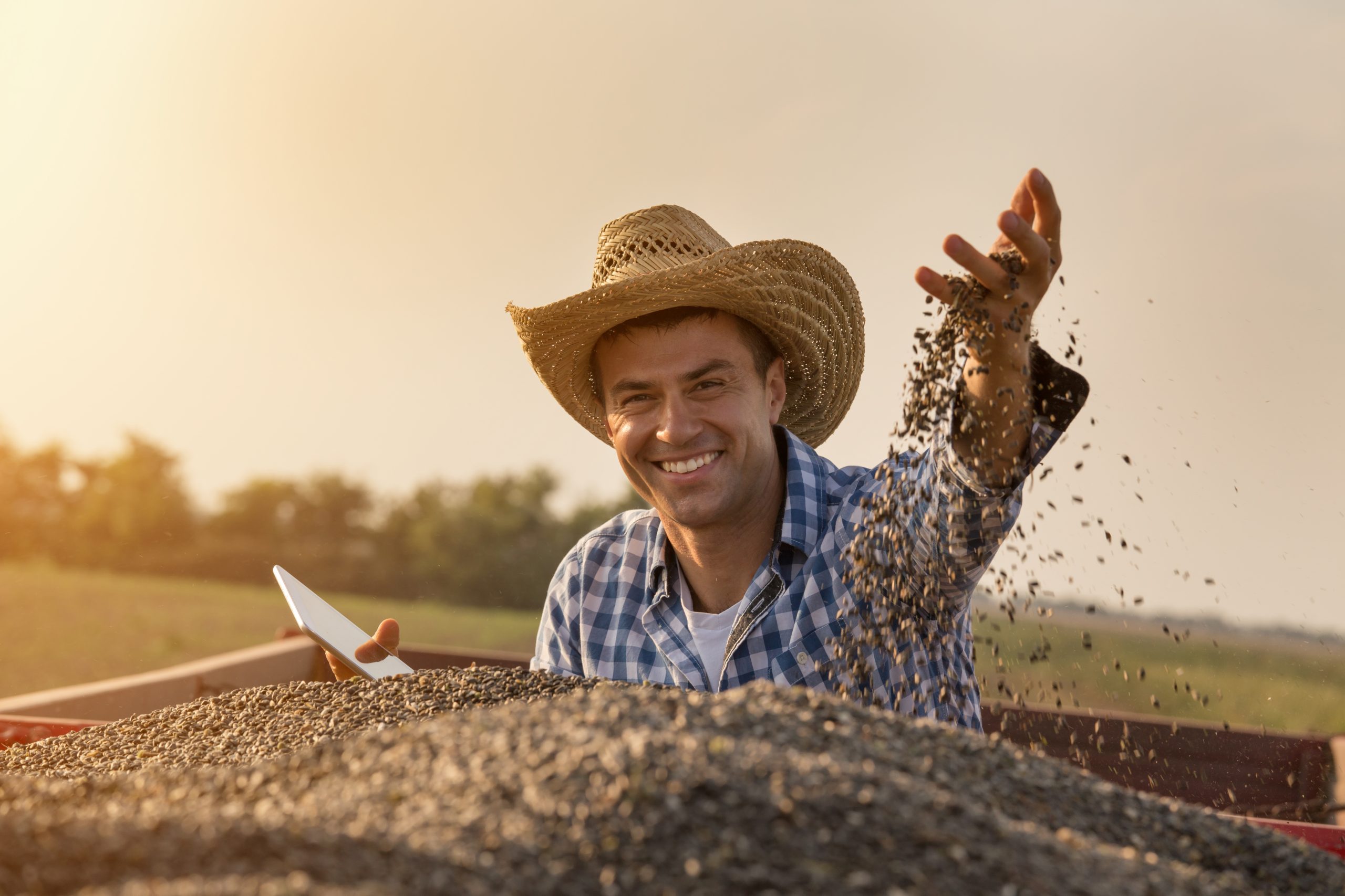 Happy farmer sitting in trailer full of sunflower seeds Happy farmer sitting in trailer full of sunflower seeds