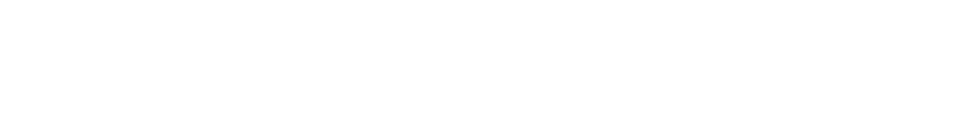 Peterson Solutions - Americas