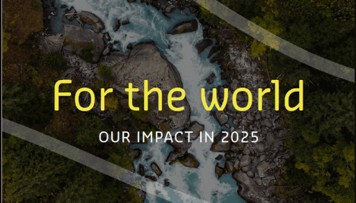 Captura de pantalla 2026-02-06 115608