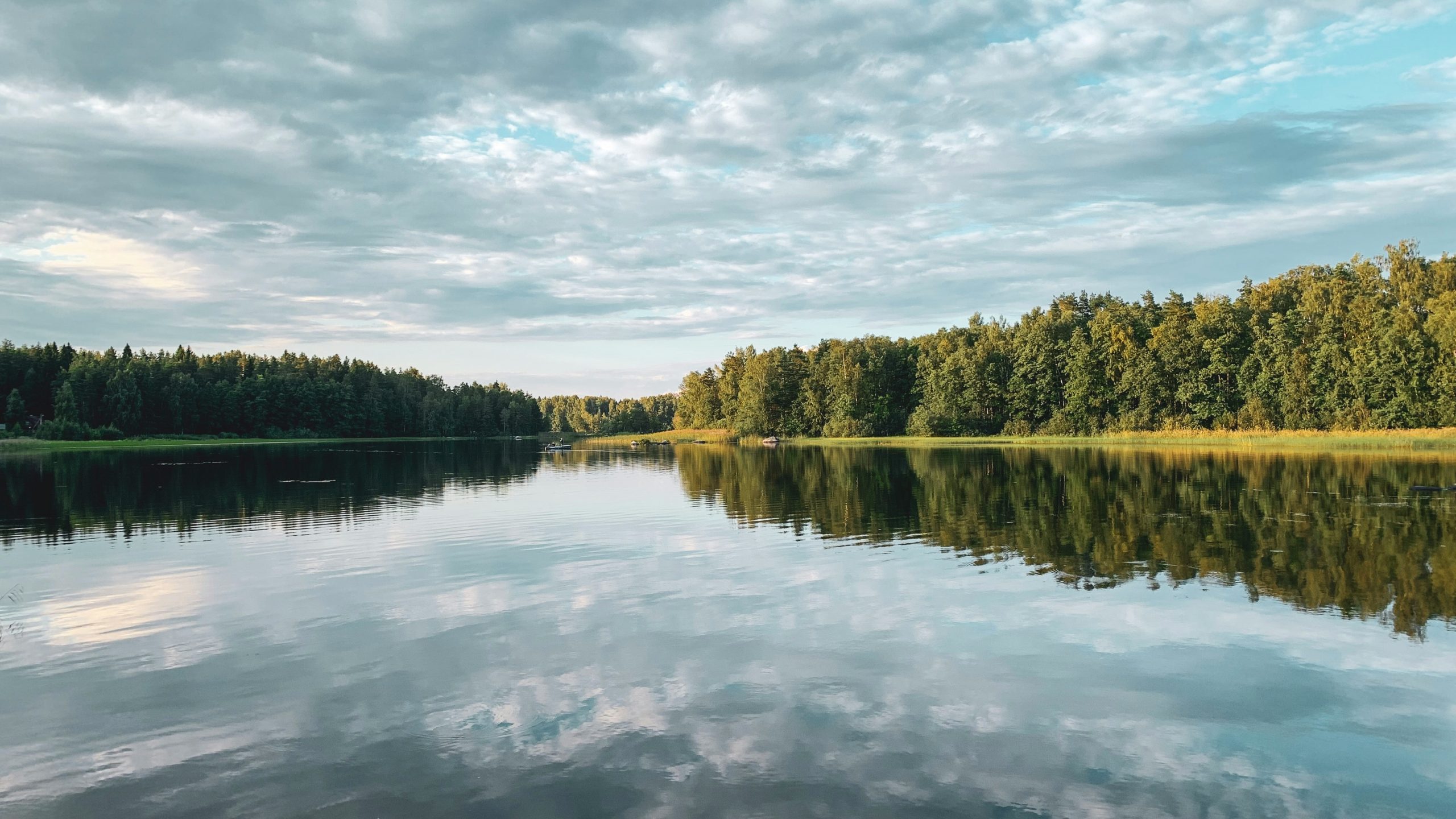 anna-tsareva-EeOgxp9_Rfk-unsplash