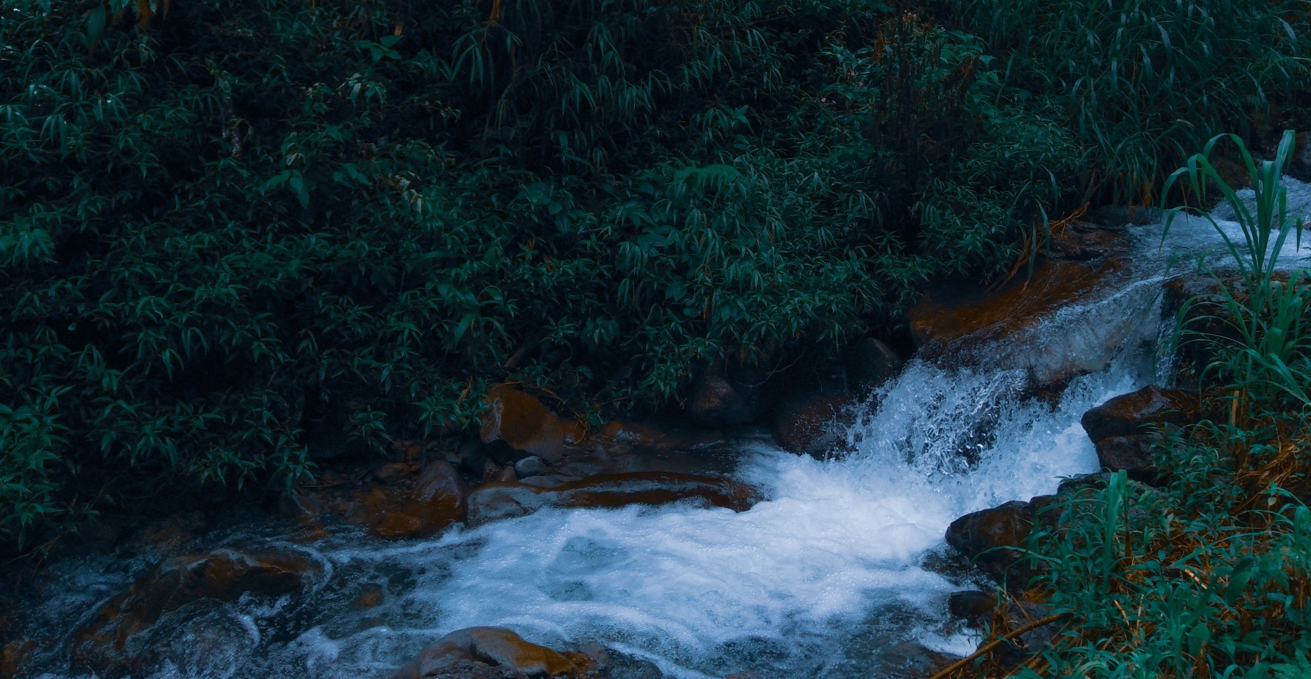 su-nyoto-v2frmiIqO0Y-unsplash