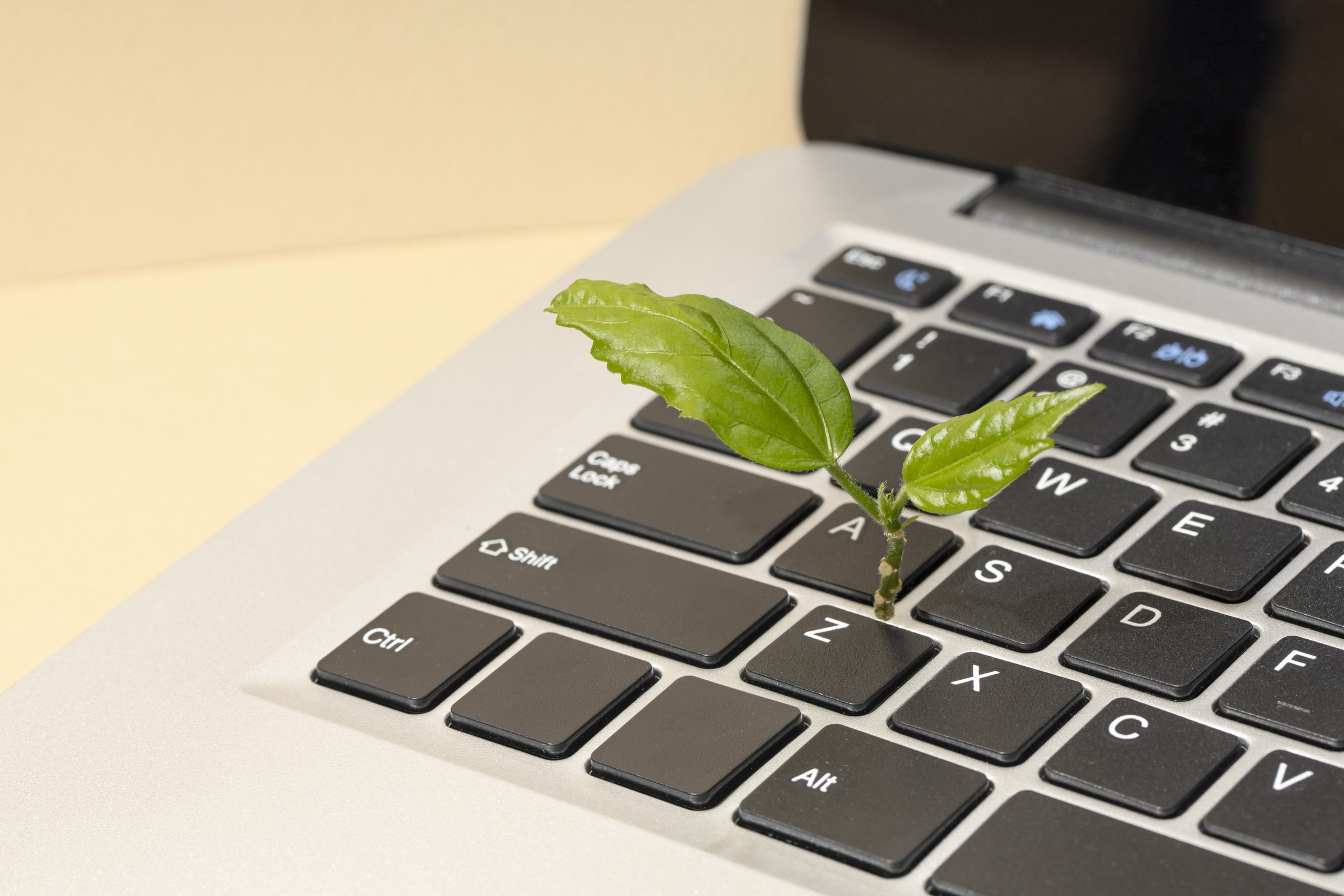 top-view-plant-growing-out-laptop